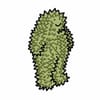 Durian