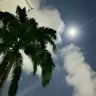 苞米司务长