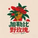 加勒比野玫瑰