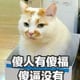 风苇