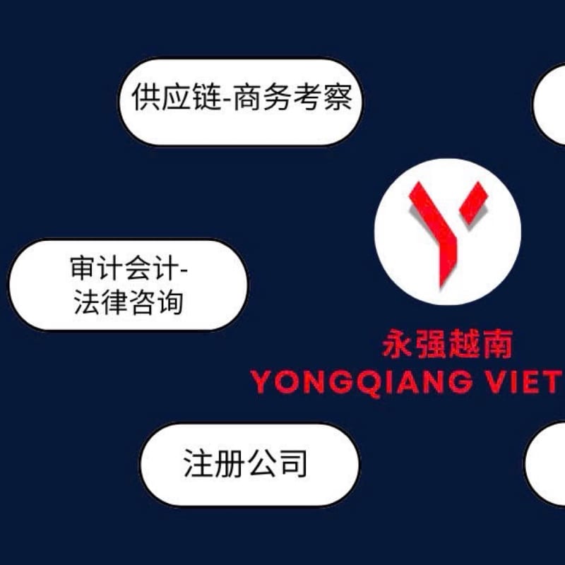 中国企业出海落地