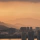 揚光季寞