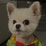Danny