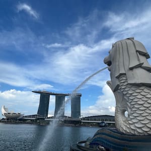 报道！我在新加坡