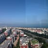 王傲娇
