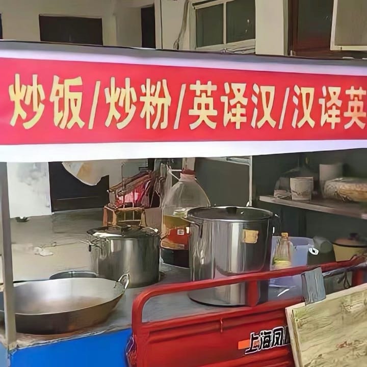 想拥有纯人工手搓的英译小说吗？