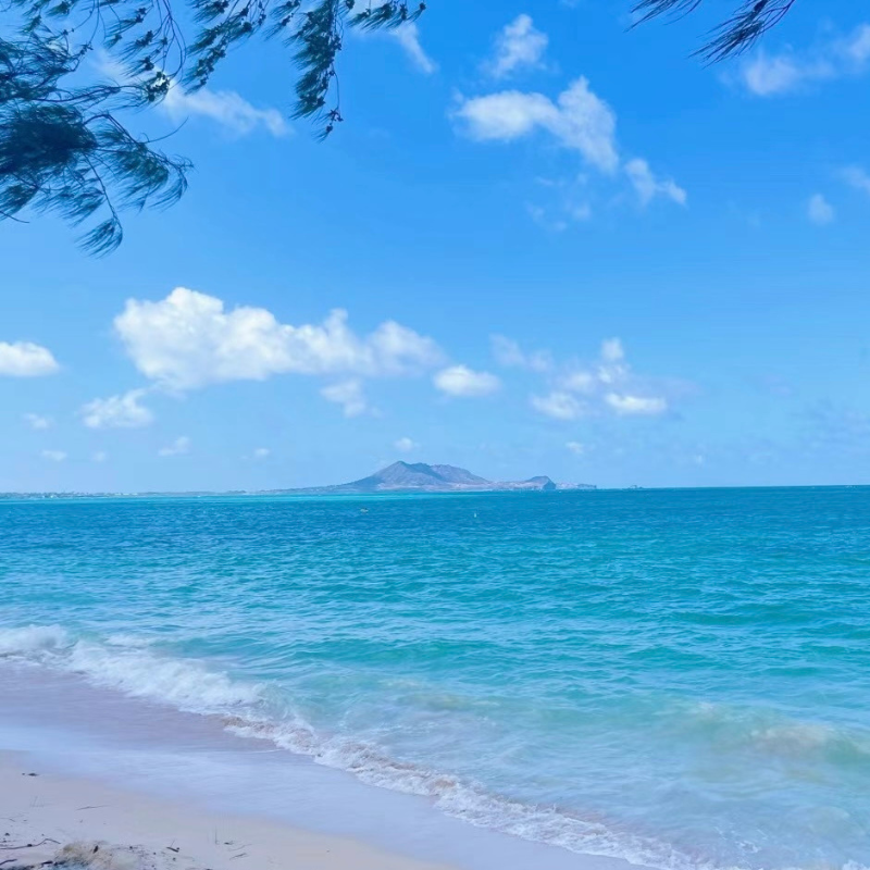 海洋玩家 封面图