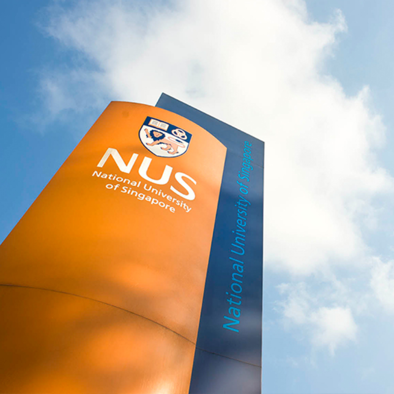 NUS MBA/EMBA Global Network 封面图