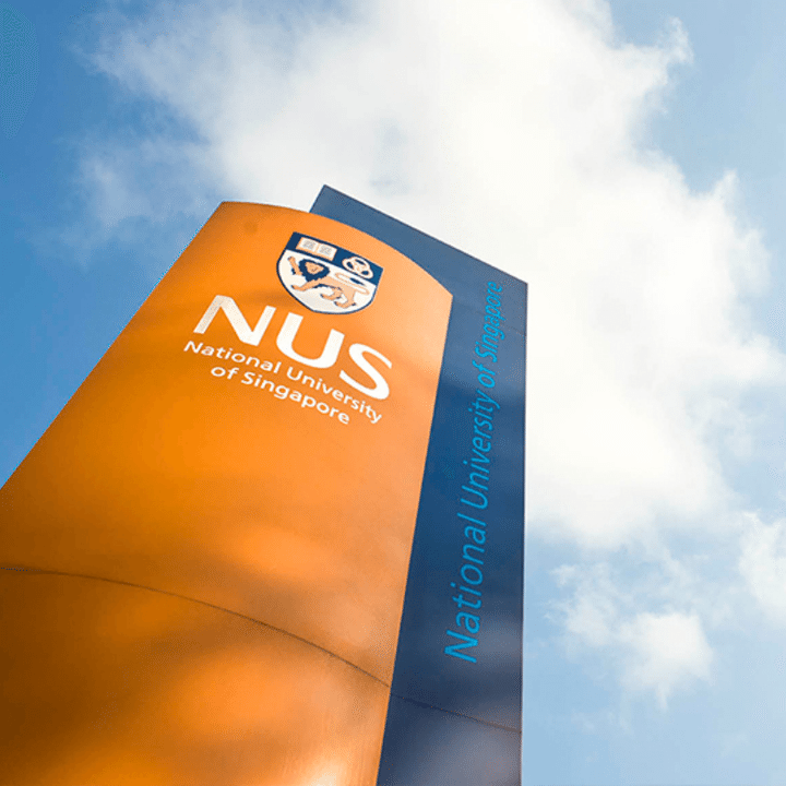 NUS MBA/EMBA Global Network