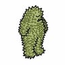 Durian