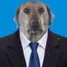haxjaz