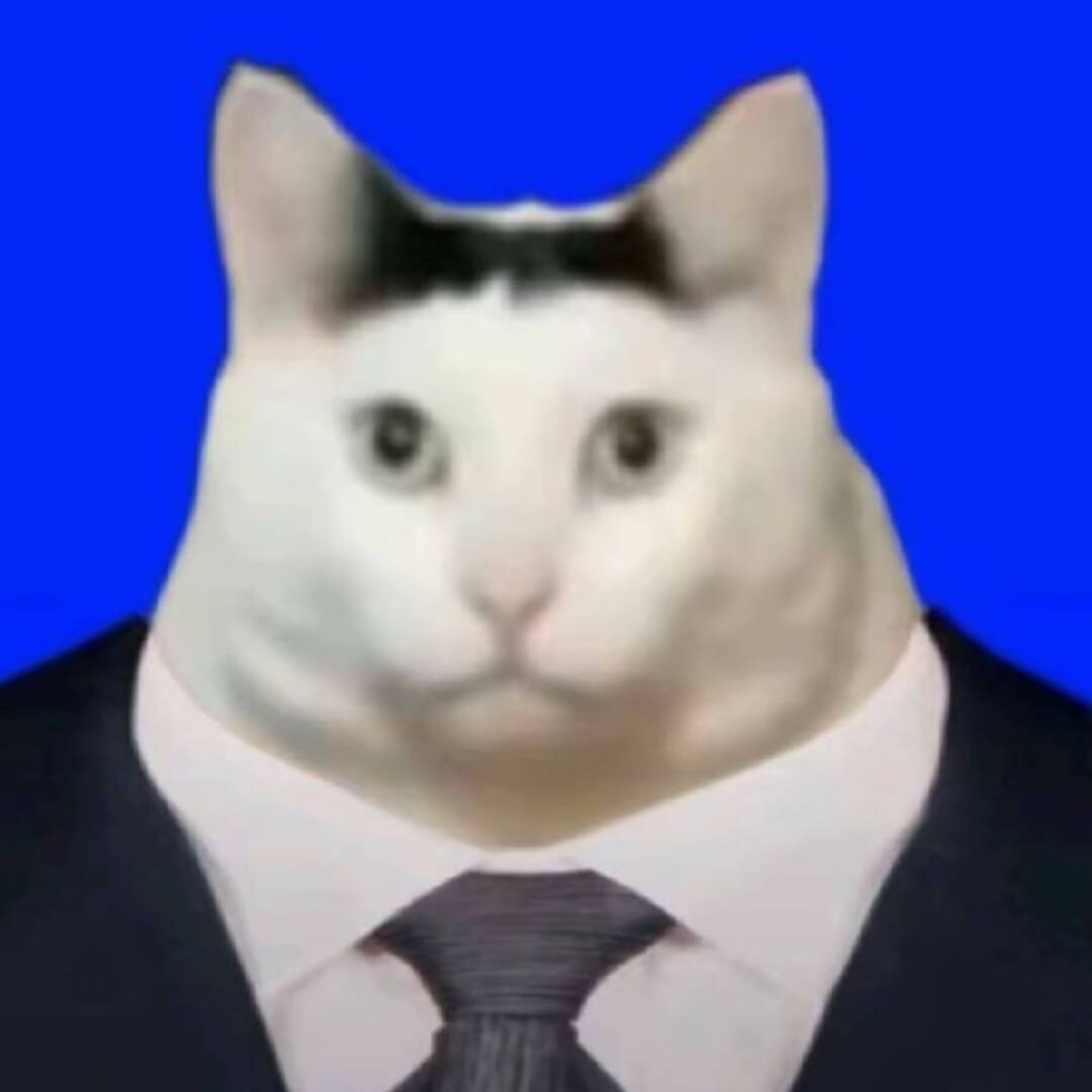 neimaer